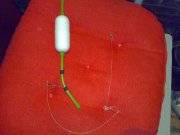 20082008386-web.jpg