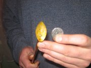 IMG_7056.jpg