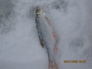 IMG_1265.jpg