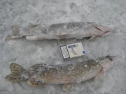 IMG_7326.jpg