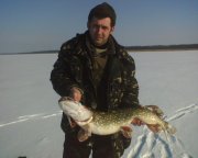 img413.jpg