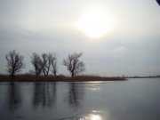 DSC00528.JPG