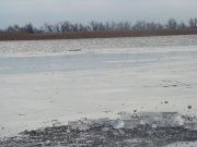 DSC00529.JPG