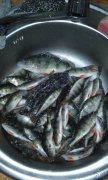 20141207_160844.jpg