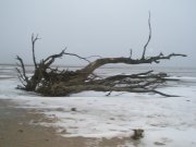 PC090014.JPG