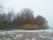 PC090015.JPG