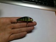 DSC_0239.JPG