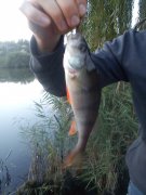 DSC00296.jpg