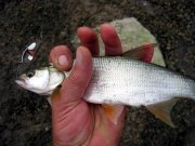Реэкспонирование Изменение размера IMG_1095.jpg