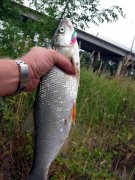 Реэкспонирование Изменение размера Поворот IMG_3313.jpg
