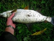 Реэкспонирование Изменение размера IMG_3561.jpg