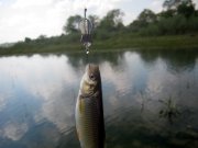 IMG_5089.jpg
