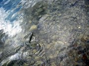 IMG_5794.jpg