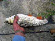 IMG_5291.jpg