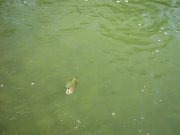 IMG_5878.jpg