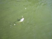 IMG_5874.jpg
