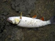 Реэкспонирование Изменение размера IMG_3304.jpg
