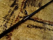 DSC01090.JPG