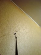 DSC01164.JPG