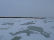 SAM_0254.JPG
