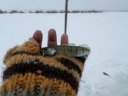 SAM_0301.JPG