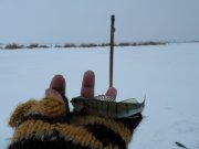 SAM_0302.JPG