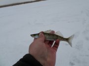 SAM_0307.JPG