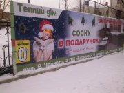 Фото3335.jpg