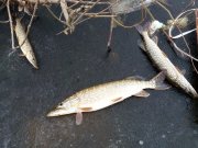 IMG_20150102_104133.jpg