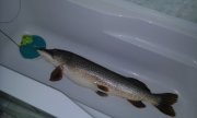 20150116_155511.jpg