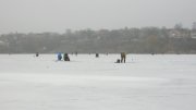 IMG_2519.jpg