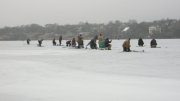 IMG_2525.jpg
