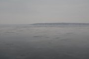 _1184234.JPG