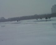 Photo-0001.jpg