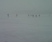 Photo-0002.jpg