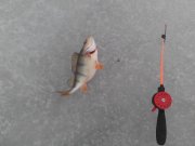 IMG_20150119_123251.jpg