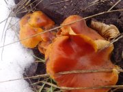IMG_20150122_105857.jpg