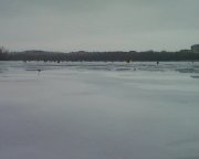 Photo-0001.jpg