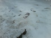 P26-01-15_11.36.jpg