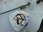 P26-01-15_11.38.jpg