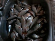 P26-01-15_18.41.jpg