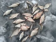 20150110_155718.jpg
