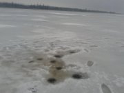 20150205_160003.jpg