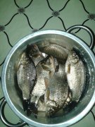 20150205_191451.jpg