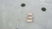 IMG_2567.jpg