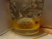 DSC00021.JPG