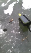 IMG_20150211_095708.jpg