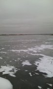 IMG_20150211_095724.jpg
