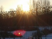 20150213_161216.jpg