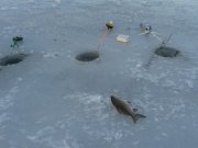 20150213_162752.jpg